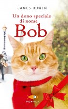 dono speciale di nome Bob