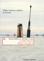 Come pesci nell'acqua. Mafie, impresa e politica in Veneto