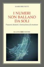 numeri non ballano da soli. Processi aleatori e formazione di strutture