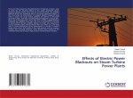 Effects of Electric Power Blackouts on Steam Turbine Power Plants