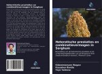 Heterotische prestaties en combinatievermogen in Sorghum