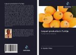 Loquat-productie in Turkije