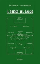 giuoco del calcio