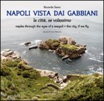 Napoli vista dai gabbiani. La città se volassimo