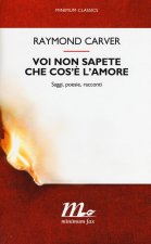 Voi non sapete che cos'è l'amore. Saggi, poesie, racconti