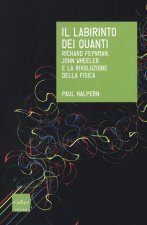 labirinto dei quanti. Richard Feynman, John Wheeler e la rivoluzione della fisica