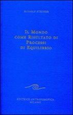 mondo come risultato di processi di equilibrio