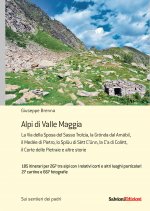 Alpi di valle Maggia