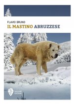 mastino abruzzese