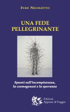 fede pellegrinante