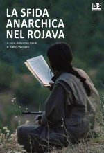 sfida anarchica nel Rojava