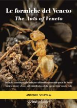 formiche del Veneto. Guida al riconoscimento delle specie con note di mirmecologia generale-The ants of Veneto. Guide to recognition of species with n