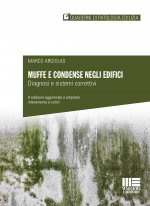 Muffe e condense negli edifici. Diagnosi e sistemi correttivi