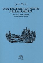 tempesta di vento nella foresta. Testo americano a fronte