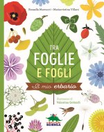 Tra foglie e fogli. Il mio erbario