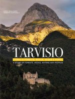 Tarvisio. Storie di foreste, rocce, acque e popoli. Ediz. italiana e inglese