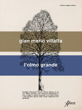 olmo grande