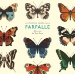Piccola guida alle farfalle