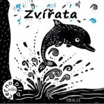 Zvířata