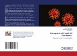 Blueprint of Covid-19 Pandemic
