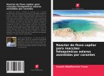 Reactor de fluxo capilar para reacç?es fotoquímicas solares assistidas por corantes