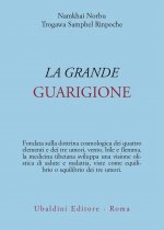 grande guarigione. Insegnamenti di medicina tibetana