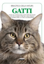 Gatti
