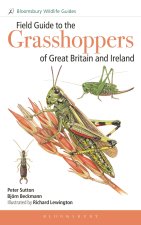 Field Guide to the Grasshoppers of Great Britain and Ireland