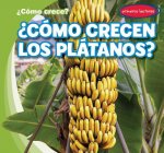?Cómo Crecen Los Plátanos? (How Do Bananas Grow?)