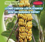 ?cómo Crecen Los Plátanos? / How Do Bananas Grow?