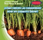 ?cómo Crecen Las Zanahorias? / How Do Carrots Grow?