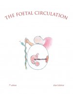 Foetal Circulation