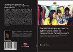 Sociabilité des jeunes dans la cyberculture, selon la perception de l'enseignement