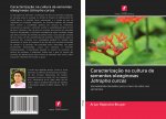 Caracterizaç?o na cultura de sementes oleaginosas Jatropha curcas