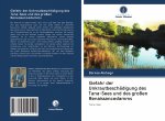 Gefahr der Unkrautbeschädigung des Tana-Sees und des großen Renaissancedamms