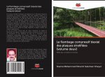 flambage compressif biaxial des plaques stratifiees (volume deux)