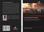 Il mito dell'eroe Gaucho
