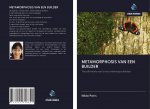 METAMORPHOSIS VAN EEN BUILDER