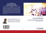 Lead Acid Battery
