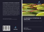 ECONOMISCH POTENTIEEL IN AMAZONIË