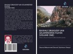 BIAXIALE DRUKGESP VAN GELAMINEERDE PLATEN (VOLUME ONE)