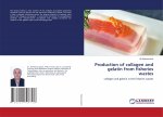 Production of collagen and gelatin from fisheries wastes