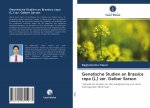 Genetische Studien an Brassica rapa (L.) var. Gelber Sarson