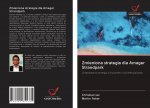 Zmieniona strategia dla Amager Strandpark