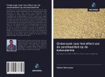 Onderzoek naar het effect van de zandkwaliteit op de betonsterkte