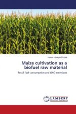 Maize cultivation as a biofuel raw material