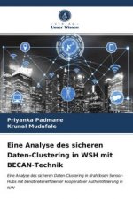 Eine Analyse des sicheren Daten-Clustering in WSH mit BECAN-Technik