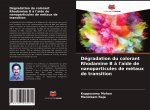 Dégradation du colorant Rhodamine B ? l'aide de nanoparticules de métaux de transition