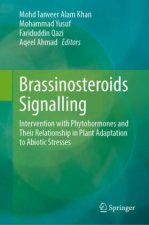 Brassinosteroids Signalling
