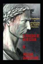 tragedia de Julio Cesar